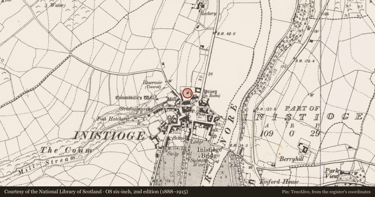 Ordnance Survey six-inch map, 2nd edition (1888–1915) covering the location of Graveslab, Inistioge, County Kilkenny, with a pin at the register's coordinates