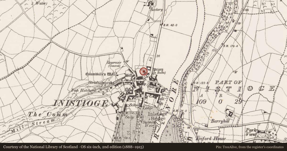 Ordnance Survey six-inch map, 2nd edition (1888–1915) covering the location of Tomb - chest tomb, Inistioge, County Kilkenny, with a pin at the register's coordinates
