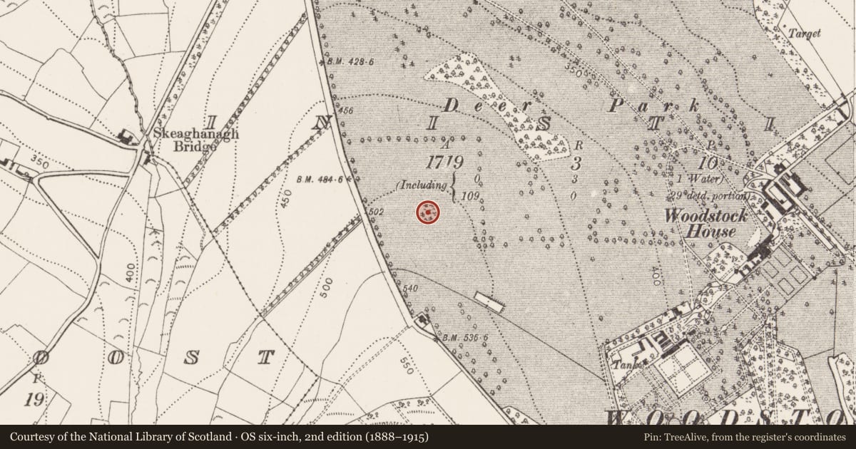 Ordnance Survey six-inch map, 2nd edition (1888–1915) covering the location of Enclosure, Inistioge, County Kilkenny, with a pin at the register's coordinates