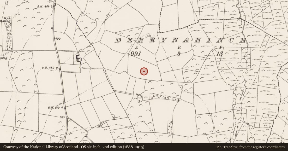 Ordnance Survey six-inch map, 2nd edition (1888–1915) covering the location of Megalithic tomb - passage tomb, Derrynahinch, County Kilkenny, with a pin at the register's coordinates