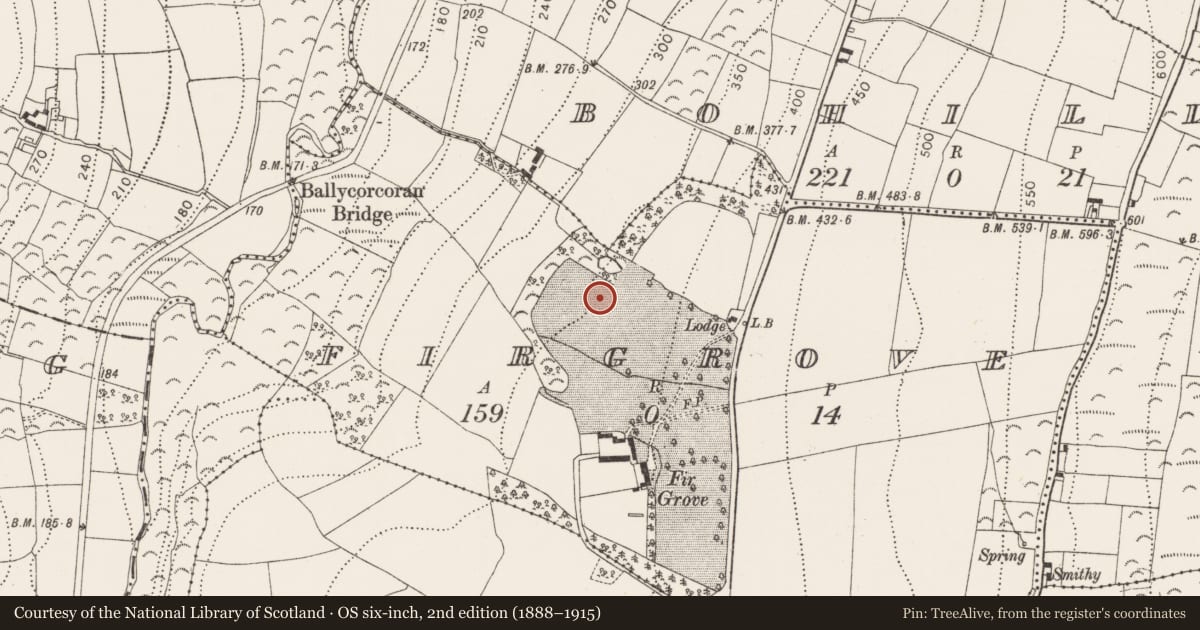 Ordnance Survey six-inch map, 2nd edition (1888–1915) covering the location of Fulacht fia, Firgrove, County Kilkenny, with a pin at the register's coordinates