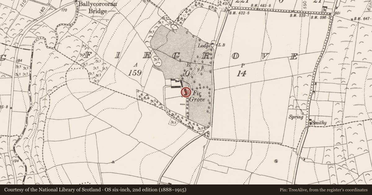 Ordnance Survey six-inch map, 2nd edition (1888–1915) covering the location of Church, Firgrove, County Kilkenny, with a pin at the register's coordinates