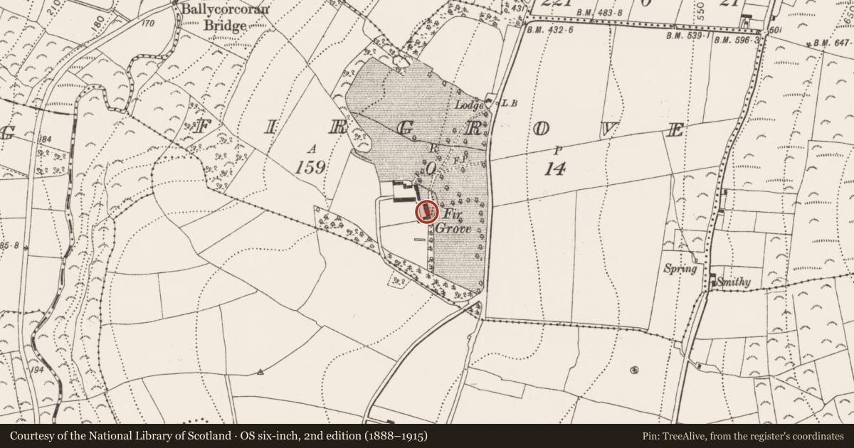 Ordnance Survey six-inch map, 2nd edition (1888–1915) covering the location of Graveyard, Firgrove, County Kilkenny, with a pin at the register's coordinates
