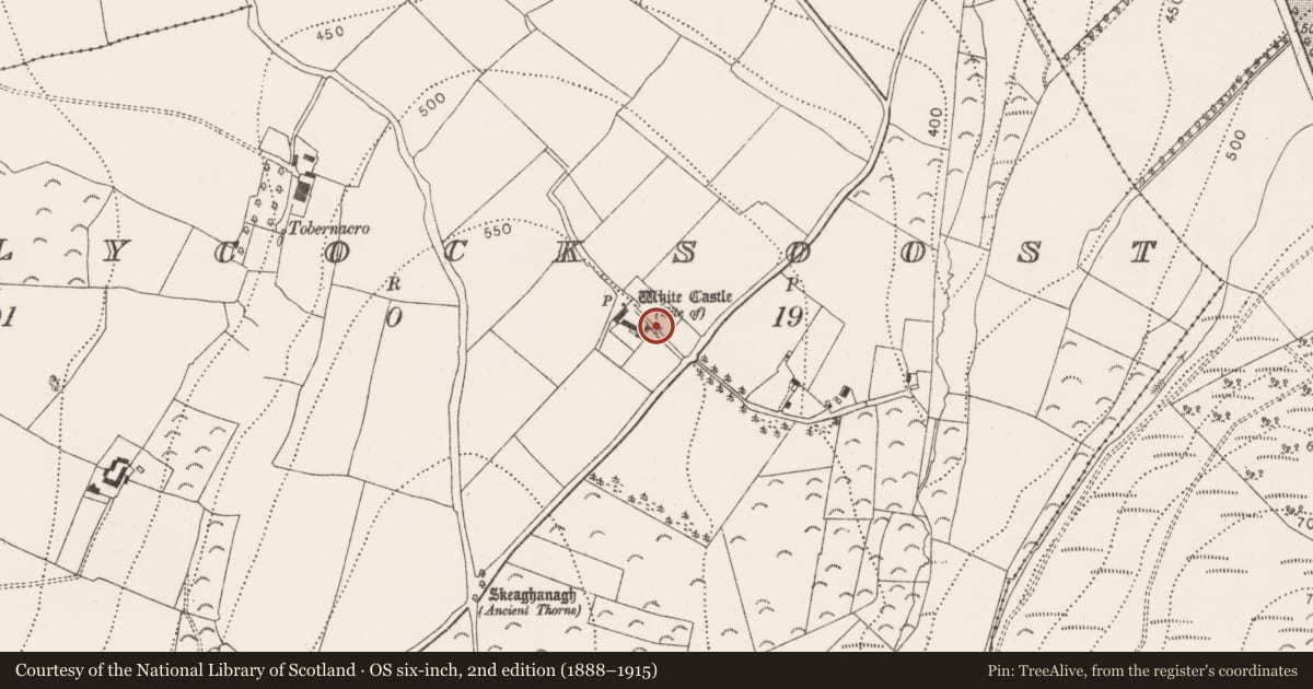 Ordnance Survey six-inch map, 2nd edition (1888–1915) covering the location of Castle - unclassified, Ballycocksoost, County Kilkenny, with a pin at the register's coordinates
