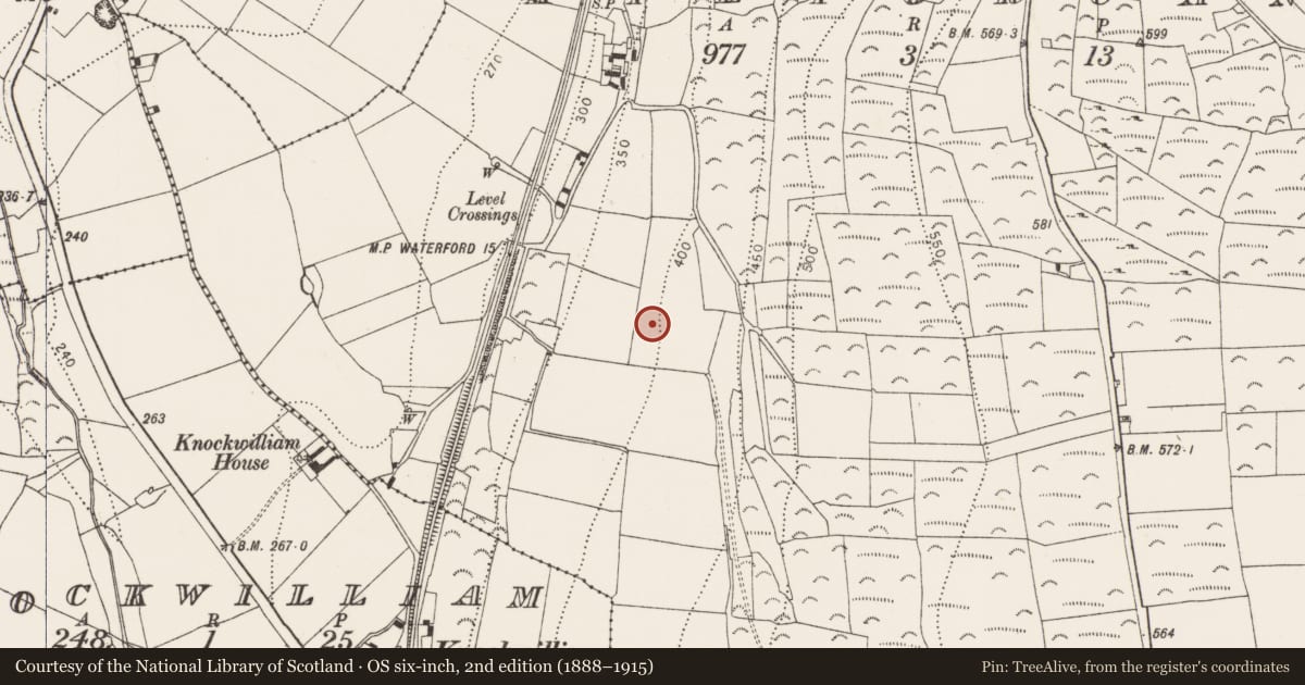 Ordnance Survey six-inch map, 2nd edition (1888–1915) covering the location of Enclosure, Kiltorcan, County Kilkenny, with a pin at the register's coordinates
