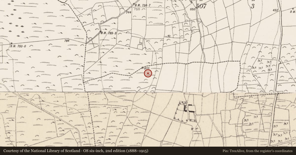 Ordnance Survey six-inch map, 2nd edition (1888–1915) covering the location of Ringfort - rath, Cappagh, County Kilkenny, with a pin at the register's coordinates