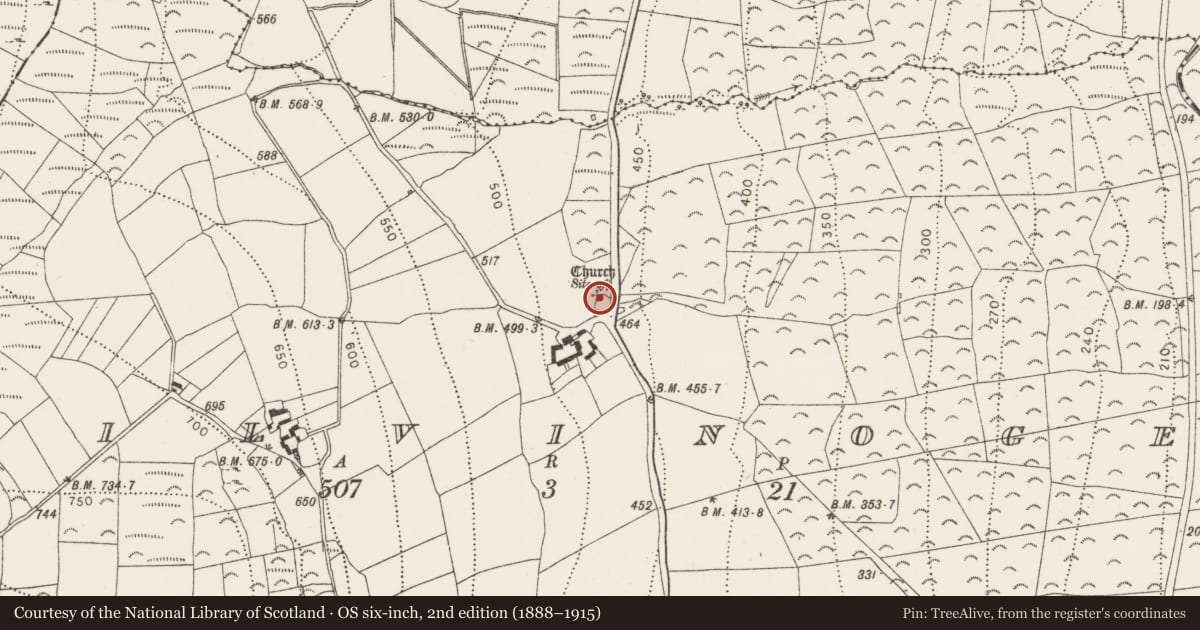 Ordnance Survey six-inch map, 2nd edition (1888–1915) covering the location of Church, Kilvinoge, County Kilkenny, with a pin at the register's coordinates