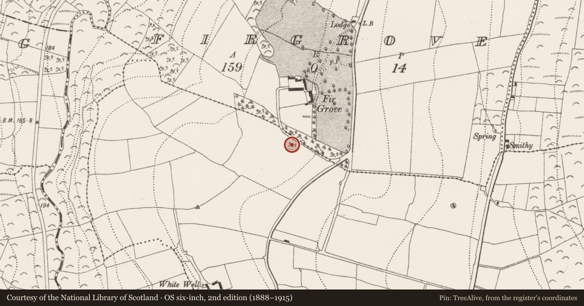 Ordnance Survey six-inch map, 2nd edition (1888–1915) covering the location of Moated site, Ballyvool, County Kilkenny, with a pin at the register's coordinates
