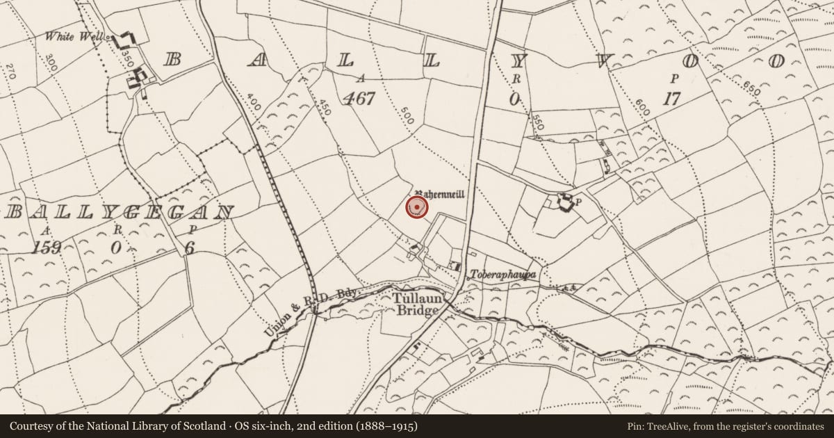 Ordnance Survey six-inch map, 2nd edition (1888–1915) covering the location of Ringfort - rath, Ballyvool, County Kilkenny, with a pin at the register's coordinates