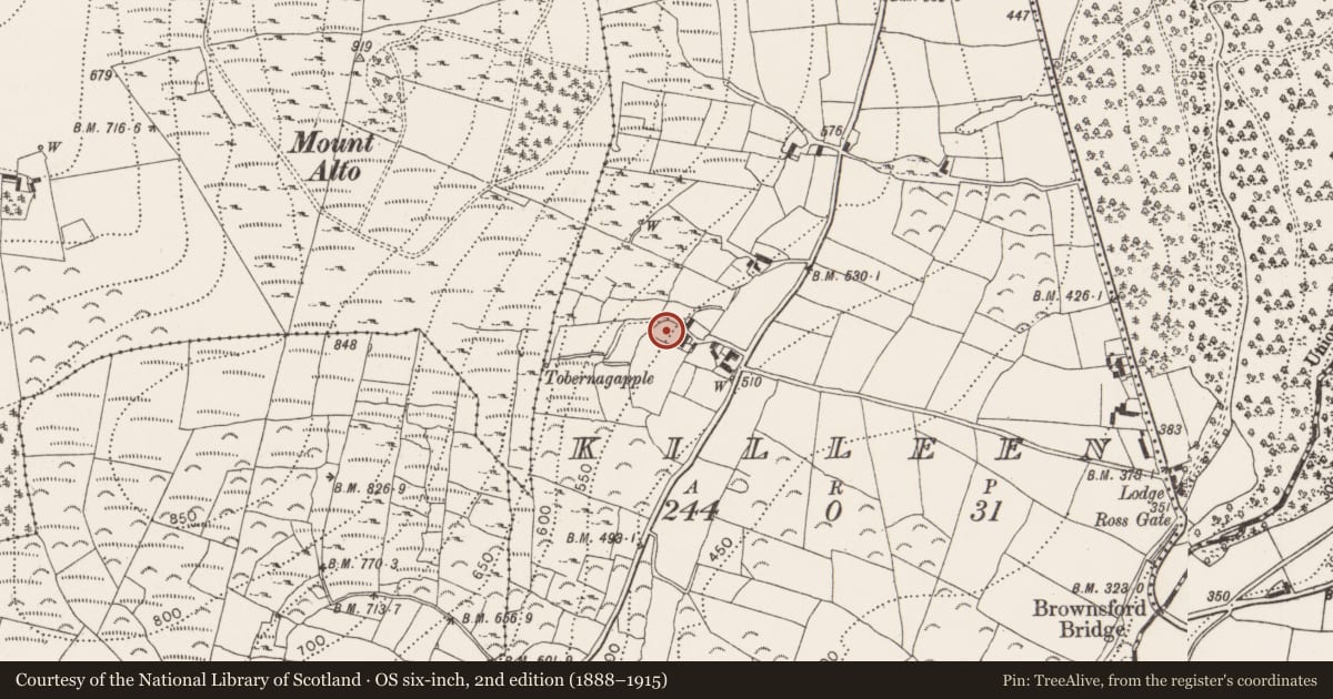 Ordnance Survey six-inch map, 2nd edition (1888–1915) covering the location of Church, Killeen, County Kilkenny, with a pin at the register's coordinates