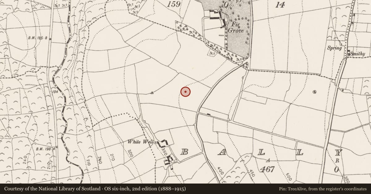 Ordnance Survey six-inch map, 2nd edition (1888–1915) covering the location of Cist, Ballyvool, County Kilkenny, with a pin at the register's coordinates