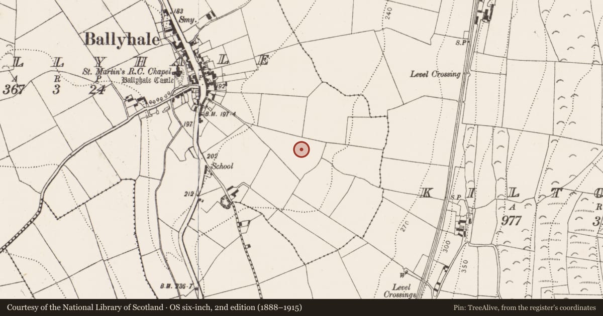 Ordnance Survey six-inch map, 2nd edition (1888–1915) covering the location of Ringfort - unclassified, Ballyhale, County Kilkenny, with a pin at the register's coordinates