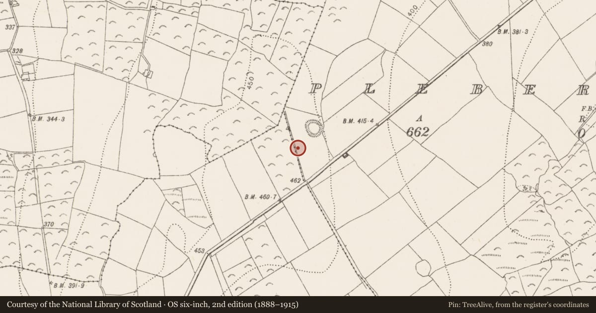 Ordnance Survey six-inch map, 2nd edition (1888–1915) covering the location of Flat cemetery, Pleberstown, County Kilkenny, with a pin at the register's coordinates