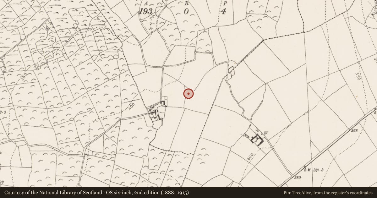Ordnance Survey six-inch map, 2nd edition (1888–1915) covering the location of Ringfort - rath, Knockard, County Kilkenny, with a pin at the register's coordinates