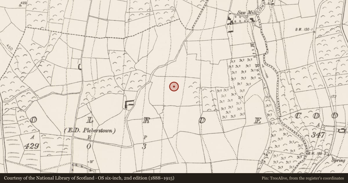 Ordnance Survey six-inch map, 2nd edition (1888–1915) covering the location of Fulacht fia, Coolroe, County Kilkenny, with a pin at the register's coordinates