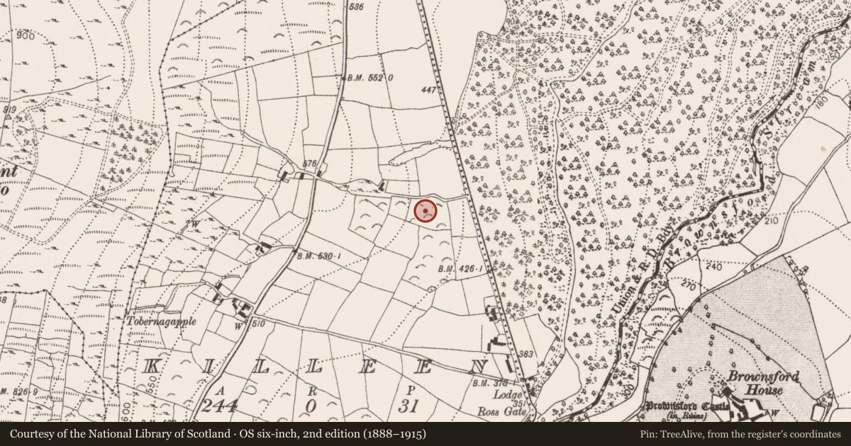 Ordnance Survey six-inch map, 2nd edition (1888–1915) covering the location of Ringfort - unclassified, Killeen, County Kilkenny, with a pin at the register's coordinates