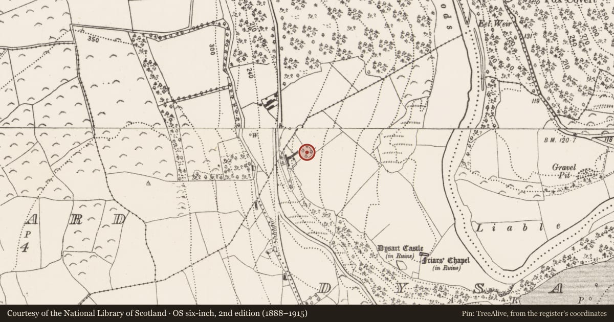 Ordnance Survey six-inch map, 2nd edition (1888–1915) covering the location of Fulacht fia, Dysart, County Kilkenny, with a pin at the register's coordinates