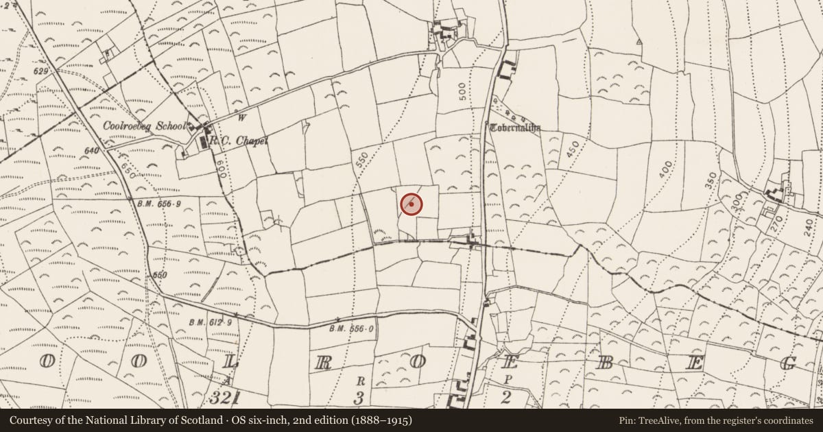 Ordnance Survey six-inch map, 2nd edition (1888–1915) covering the location of Burnt mound, Powerswood, County Kilkenny, with a pin at the register's coordinates