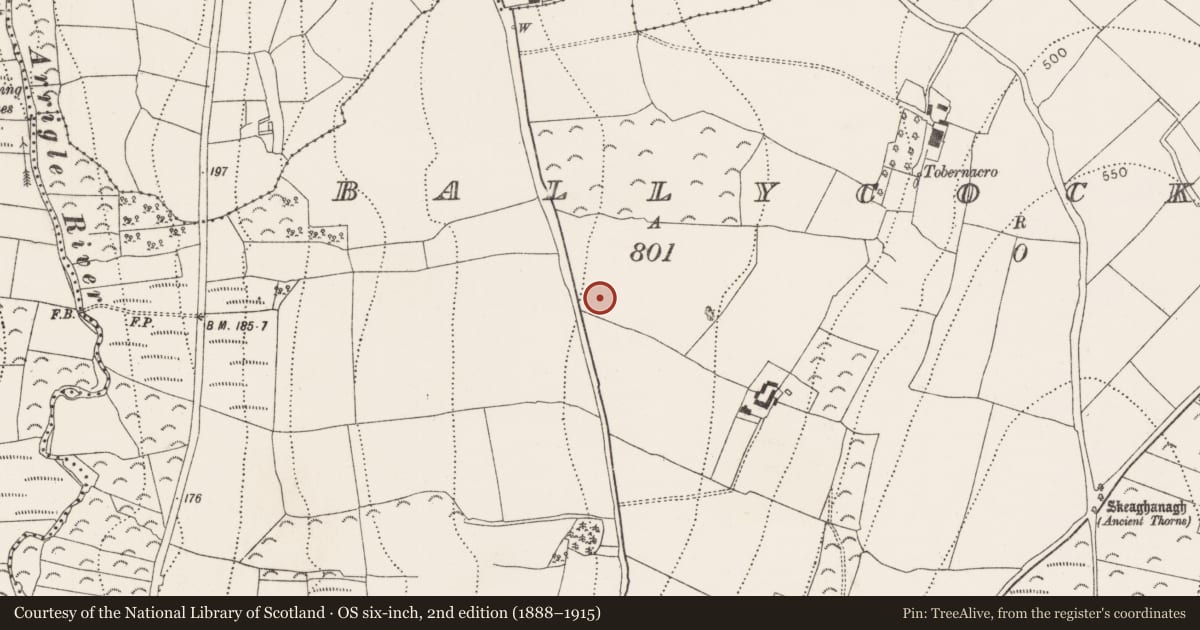 Ordnance Survey six-inch map, 2nd edition (1888–1915) covering the location of Enclosure, Ballycocksoost, County Kilkenny, with a pin at the register's coordinates