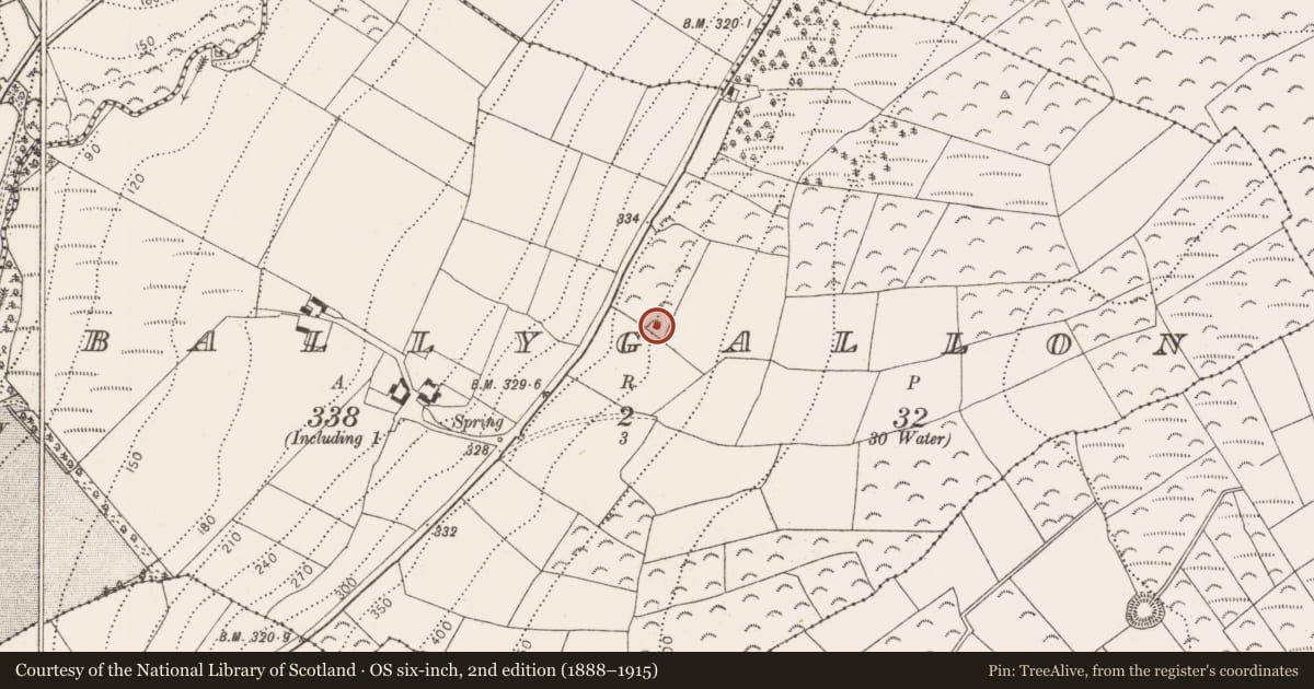 Ordnance Survey six-inch map, 2nd edition (1888–1915) covering the location of Ringfort - unclassified, Ballygallon, County Kilkenny, with a pin at the register's coordinates