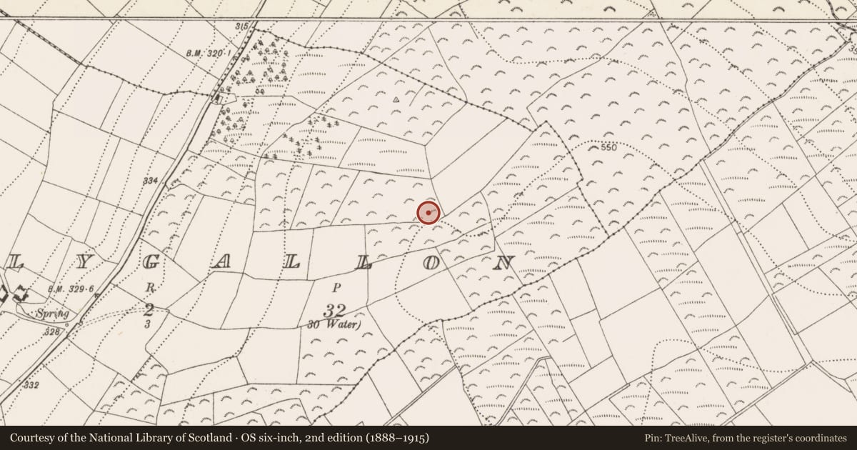 Ordnance Survey six-inch map, 2nd edition (1888–1915) covering the location of Rock art, Ballygallon, County Kilkenny, with a pin at the register's coordinates
