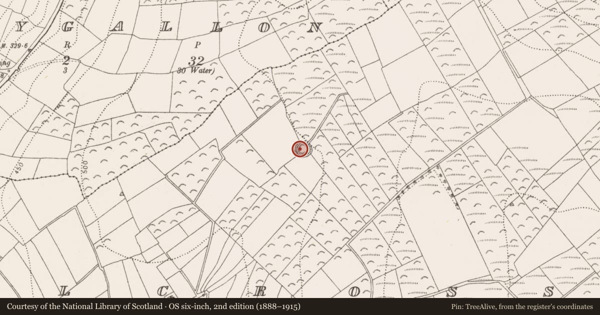 Ordnance Survey six-inch map, 2nd edition (1888–1915) covering the location of Ringfort - rath, Kilcross, County Kilkenny, with a pin at the register's coordinates