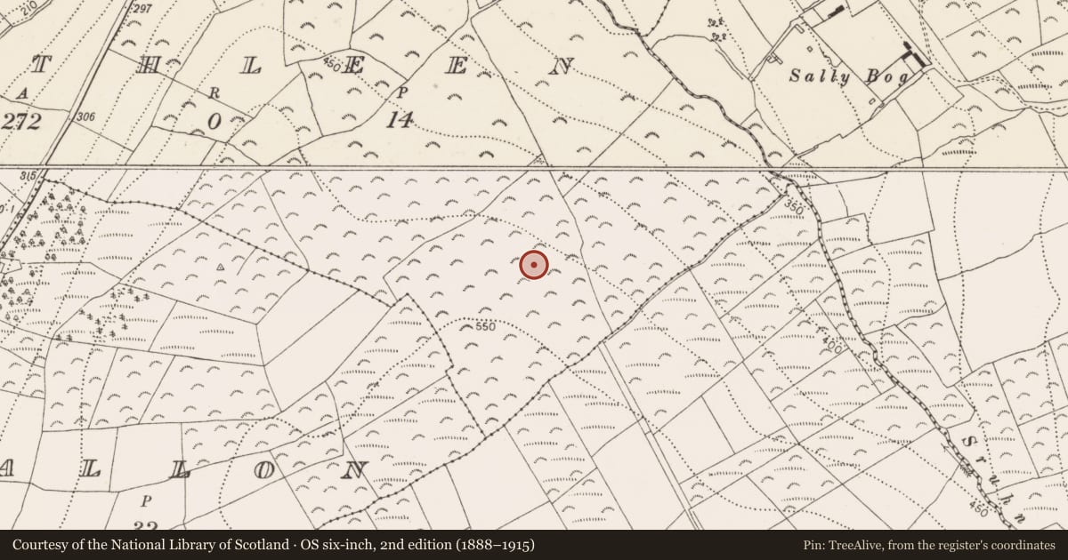 Ordnance Survey six-inch map, 2nd edition (1888–1915) covering the location of Stone row, Rathleen, County Kilkenny, with a pin at the register's coordinates