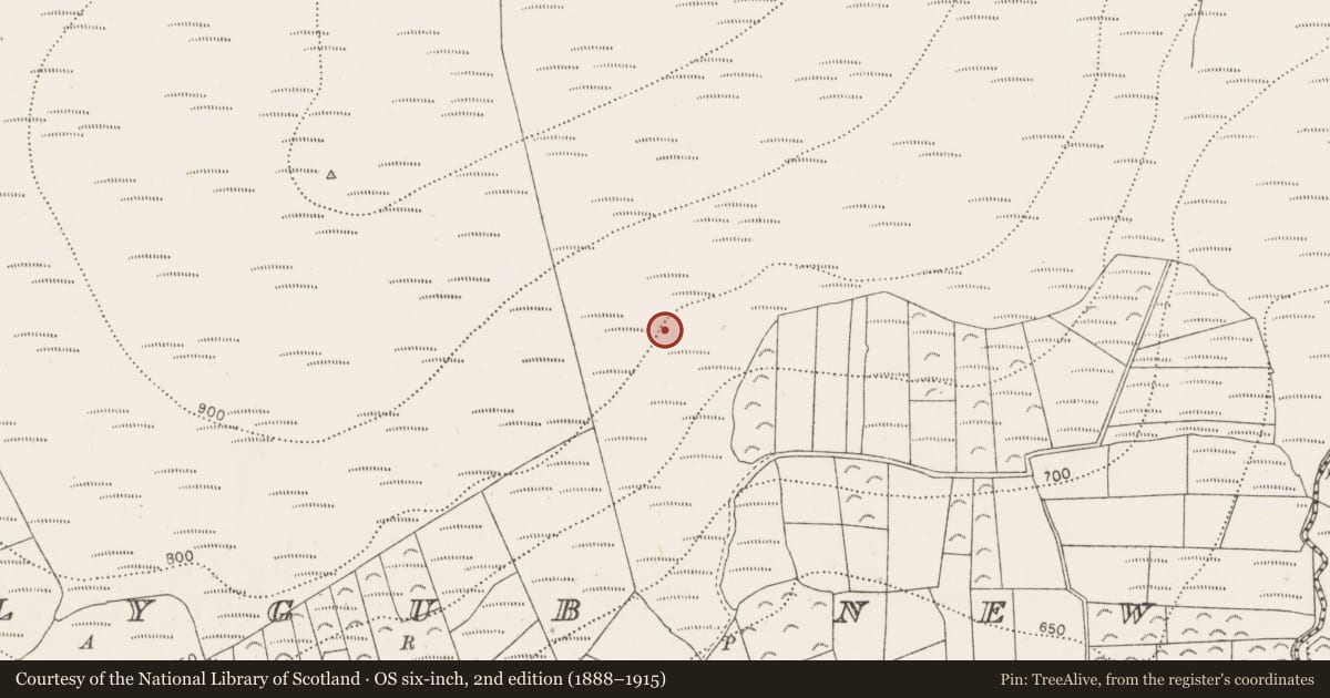 Ordnance Survey six-inch map, 2nd edition (1888–1915) covering the location of Hut site, Ballygub New, County Kilkenny, with a pin at the register's coordinates