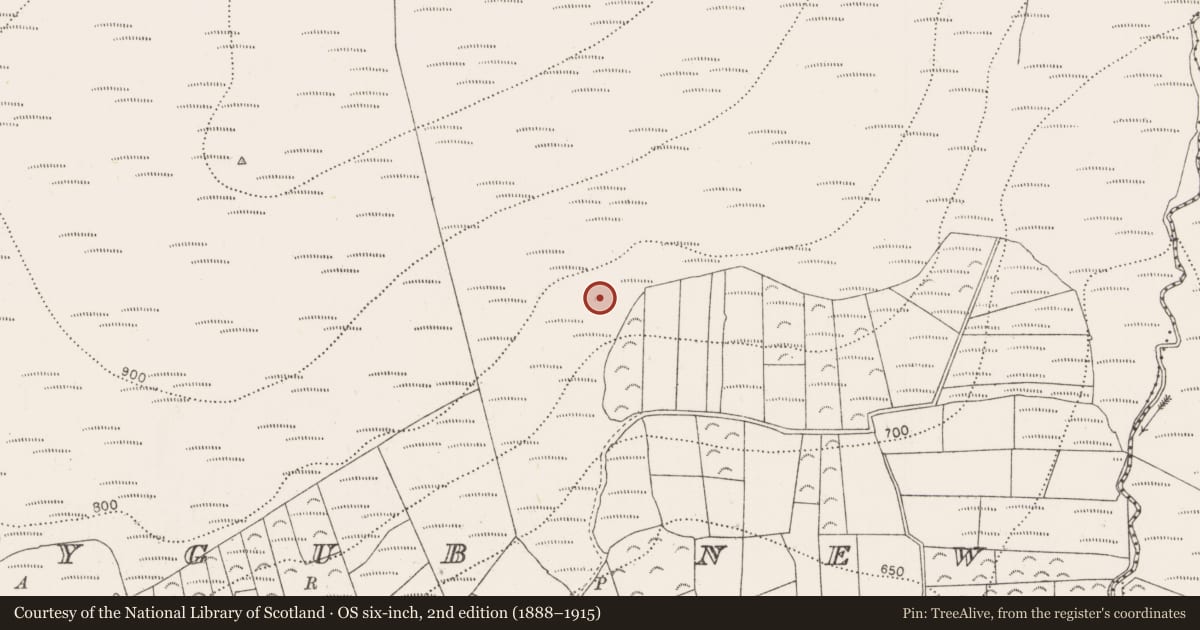 Ordnance Survey six-inch map, 2nd edition (1888–1915) covering the location of Field system, Ballygub New, County Kilkenny, with a pin at the register's coordinates