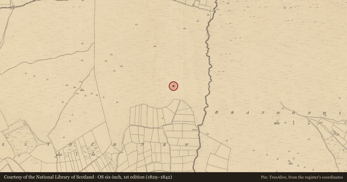 Ordnance Survey six-inch map, 1st edition (1829–1842) covering the location of Field system, Ballygub New, County Kilkenny, with a pin at the register's coordinates