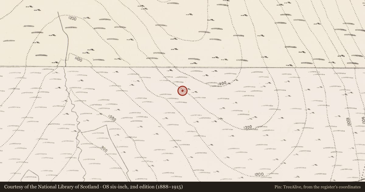 Ordnance Survey six-inch map, 2nd edition (1888–1915) covering the location of Hillfort, Brandonhill, County Kilkenny, with a pin at the register's coordinates