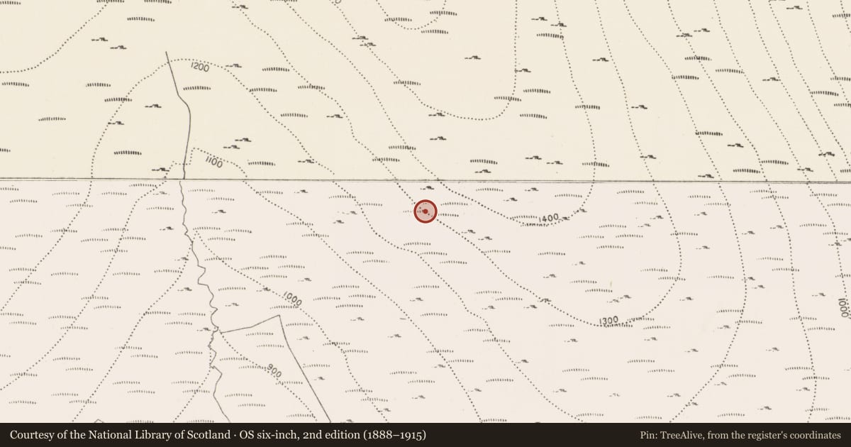 Ordnance Survey six-inch map, 2nd edition (1888–1915) covering the location of Cairn - unclassified, Brandonhill, County Kilkenny, with a pin at the register's coordinates