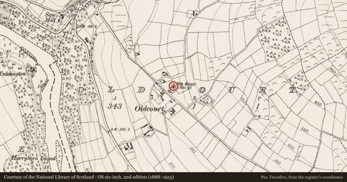 Ordnance Survey six-inch map, 2nd edition (1888–1915) covering the location of Building, Oldcourt, County Kilkenny, with a pin at the register's coordinates