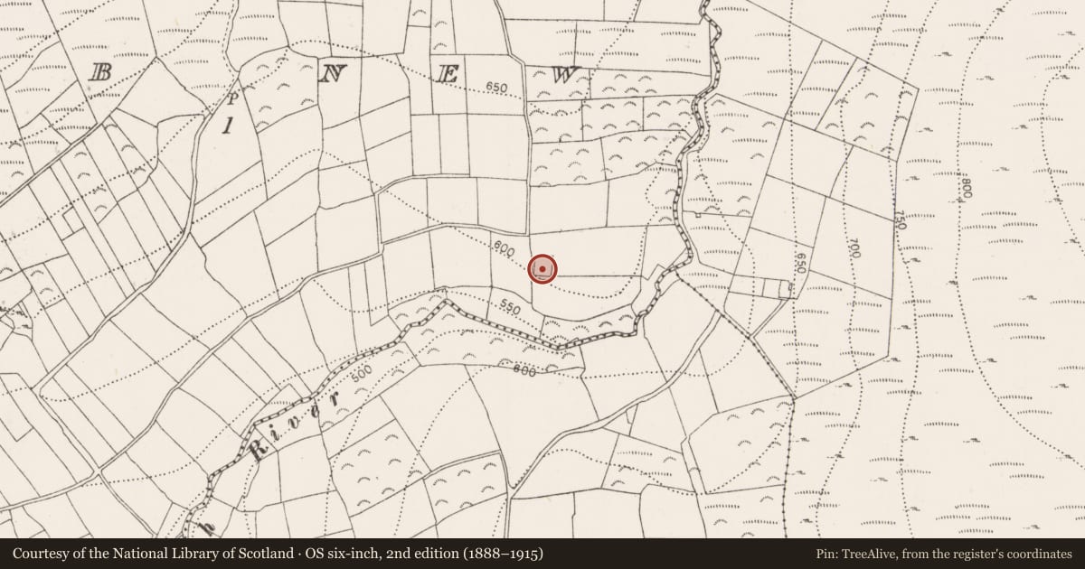 Ordnance Survey six-inch map, 2nd edition (1888–1915) covering the location of Moated site, Ballygub New, County Kilkenny, with a pin at the register's coordinates