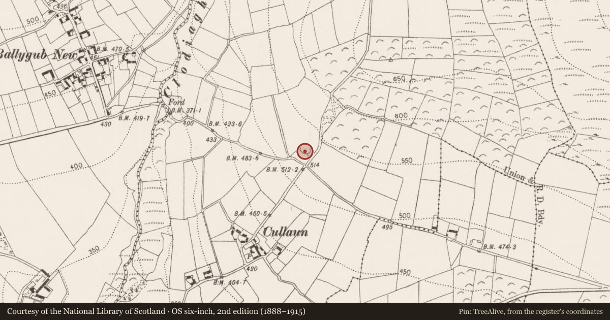 Ordnance Survey six-inch map, 2nd edition (1888–1915) covering the location of Ringfort - unclassified, Cullaun, County Kilkenny, with a pin at the register's coordinates