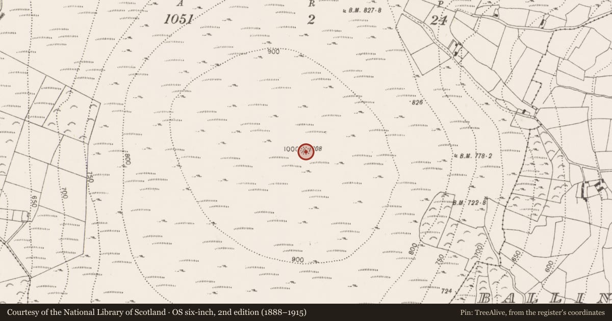 Ordnance Survey six-inch map, 2nd edition (1888–1915) covering the location of Cairn - unclassified, Brandonhill, County Kilkenny, with a pin at the register's coordinates