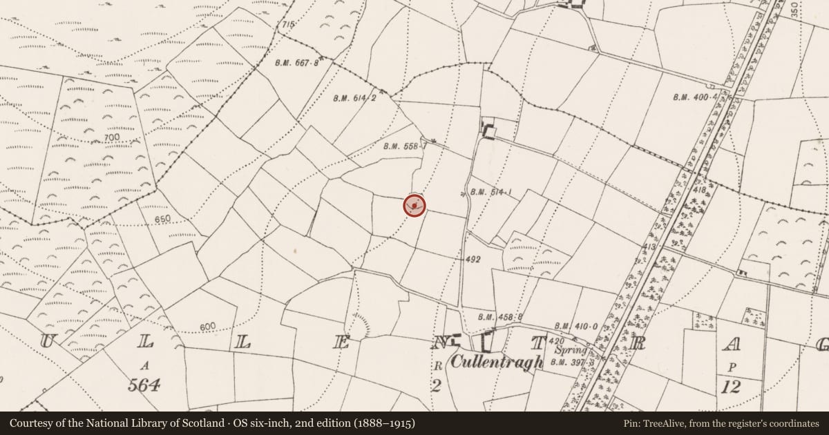 Ordnance Survey six-inch map, 2nd edition (1888–1915) covering the location of Enclosure, Cullentragh, County Kilkenny, with a pin at the register's coordinates