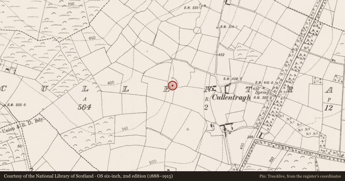 Ordnance Survey six-inch map, 2nd edition (1888–1915) covering the location of Ringfort - unclassified, Cullentragh, County Kilkenny, with a pin at the register's coordinates