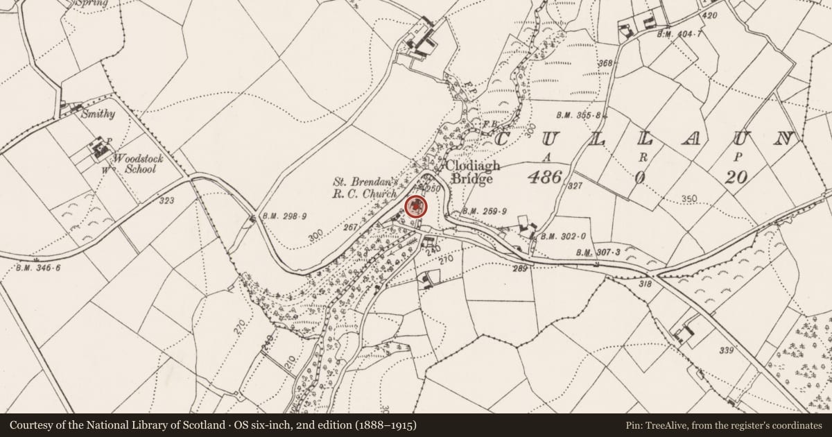 Ordnance Survey six-inch map, 2nd edition (1888–1915) covering the location of Church, Ballygub New, County Kilkenny, with a pin at the register's coordinates