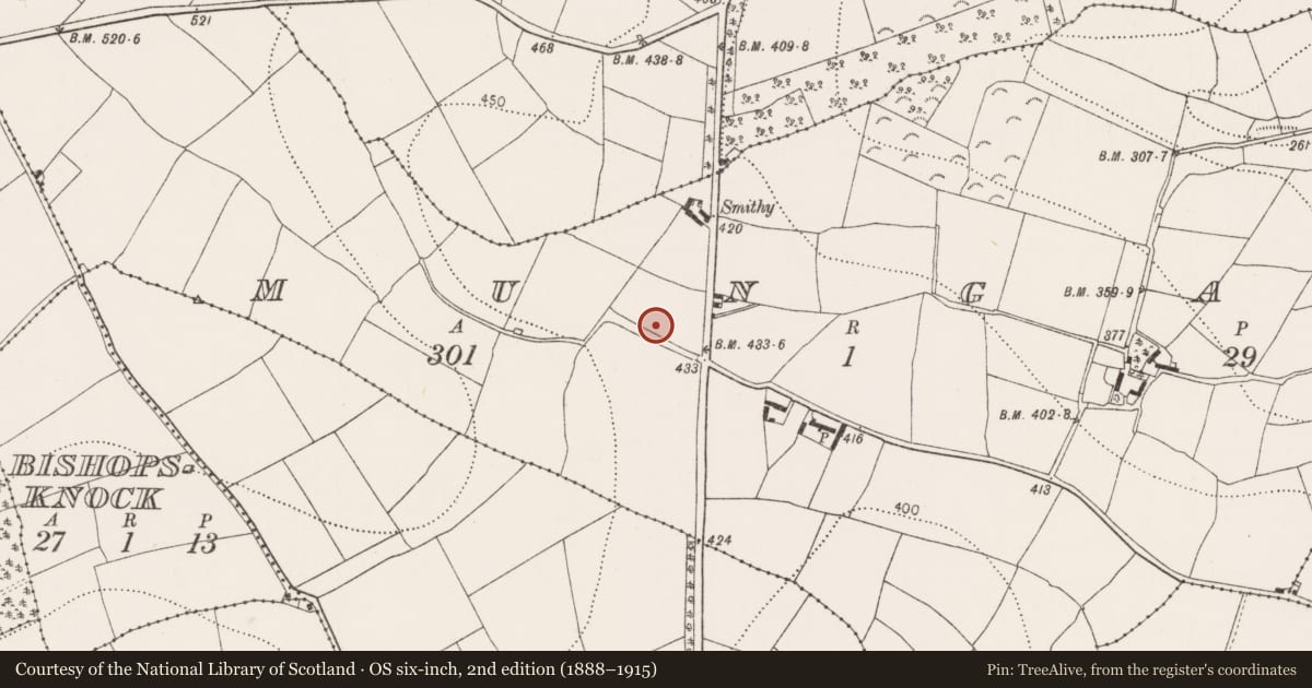Ordnance Survey six-inch map, 2nd edition (1888–1915) covering the location of Ringfort - rath, Mungan, County Kilkenny, with a pin at the register's coordinates
