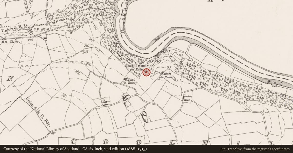 Ordnance Survey six-inch map, 2nd edition (1888–1915) covering the location of Castle - tower house, Coolhill, County Kilkenny, with a pin at the register's coordinates
