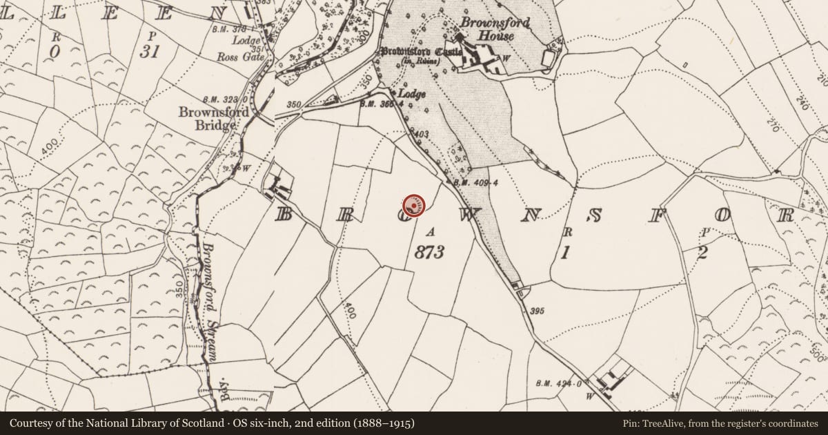 Ordnance Survey six-inch map, 2nd edition (1888–1915) covering the location of Ringfort - rath, Brownsford, County Kilkenny, with a pin at the register's coordinates
