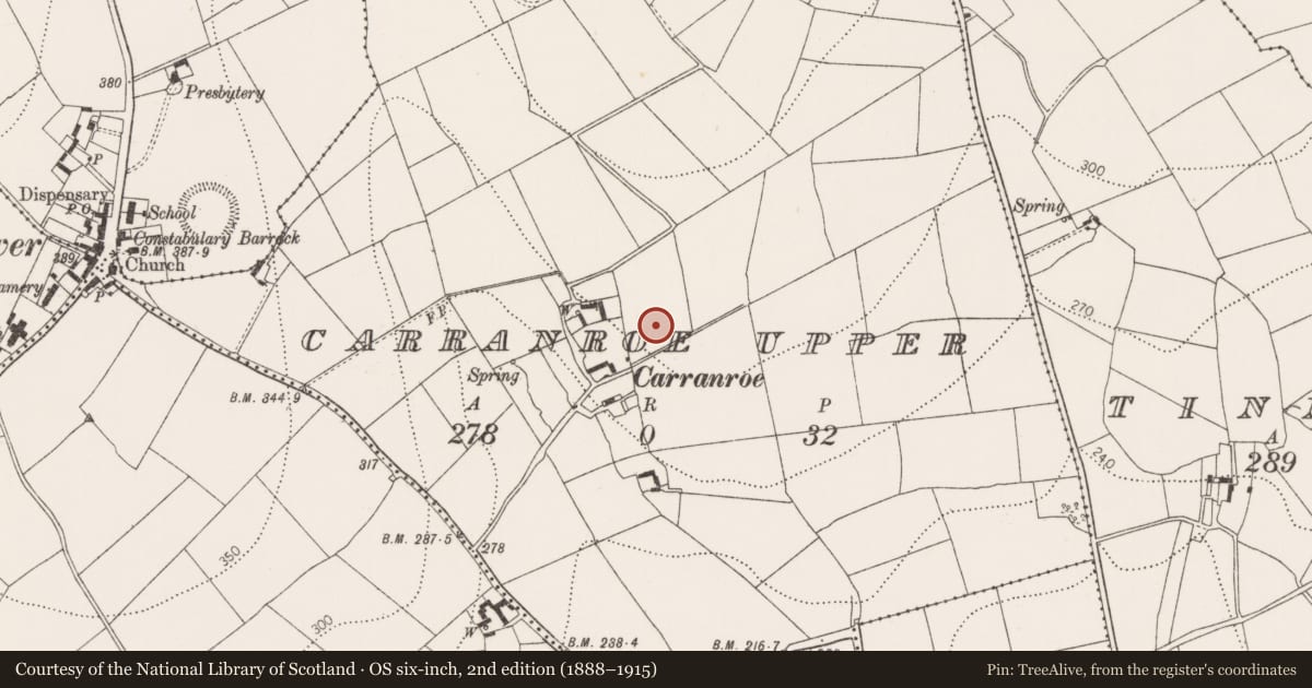 Ordnance Survey six-inch map, 2nd edition (1888–1915) covering the location of Ringfort - rath, Carranroe Upper, County Kilkenny, with a pin at the register's coordinates