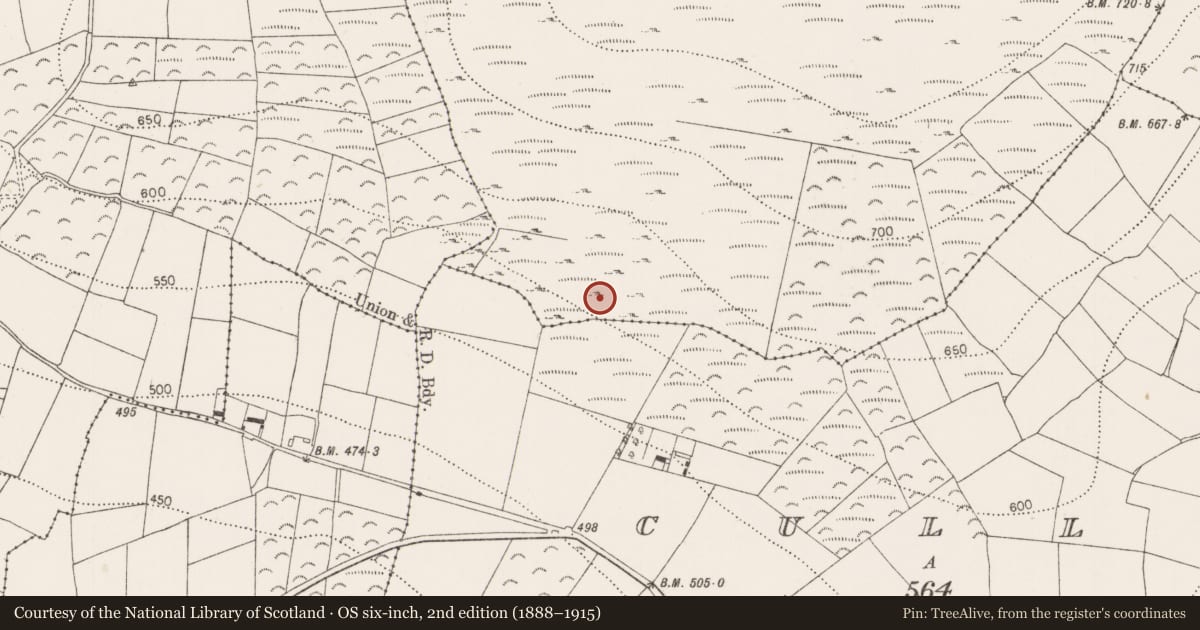 Ordnance Survey six-inch map, 2nd edition (1888–1915) covering the location of Moated site, Brandonhill, County Kilkenny, with a pin at the register's coordinates