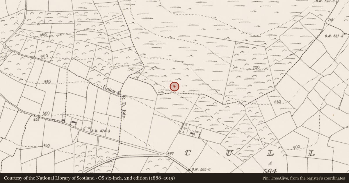 Ordnance Survey six-inch map, 2nd edition (1888–1915) covering the location of Hut site, Brandonhill, County Kilkenny, with a pin at the register's coordinates