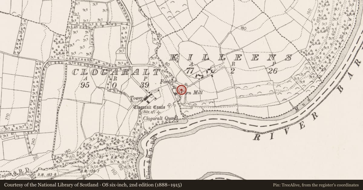Ordnance Survey six-inch map, 2nd edition (1888–1915) covering the location of Church, Killeens, County Kilkenny, with a pin at the register's coordinates