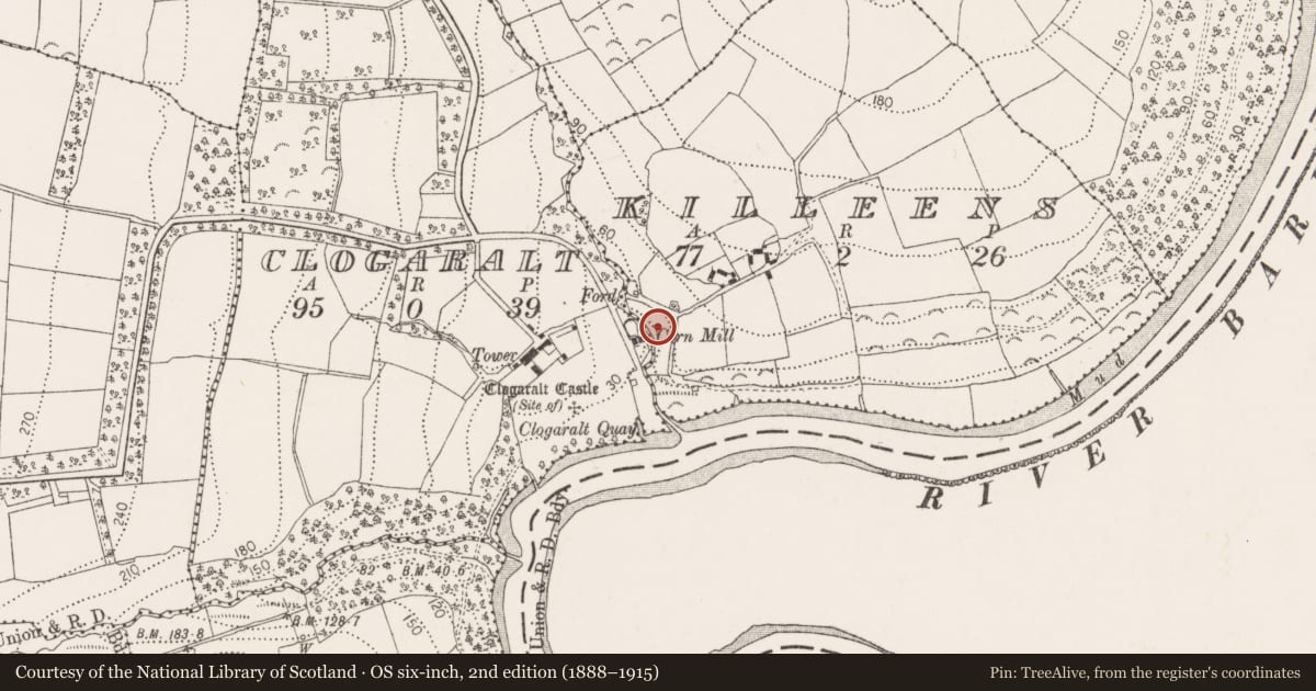 Ordnance Survey six-inch map, 2nd edition (1888–1915) covering the location of Graveyard, Killeens, County Kilkenny, with a pin at the register's coordinates