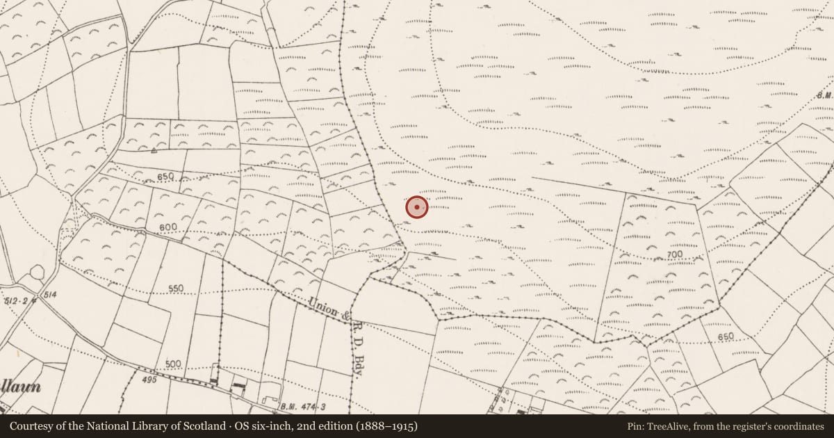 Ordnance Survey six-inch map, 2nd edition (1888–1915) covering the location of Enclosure, Brandonhill, County Kilkenny, with a pin at the register's coordinates