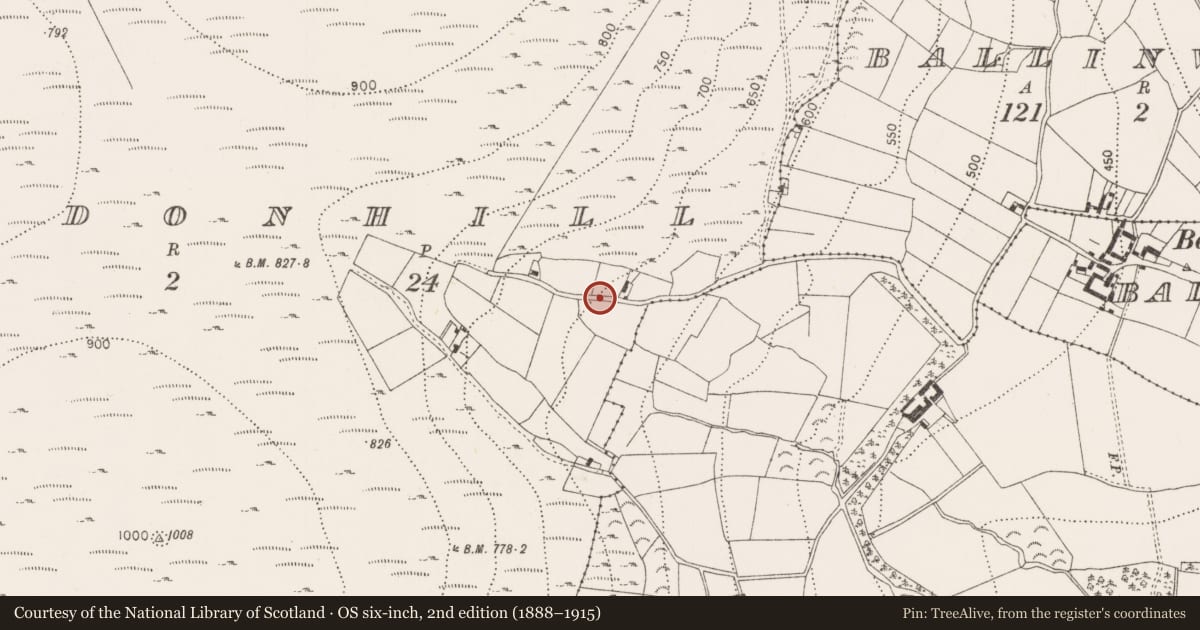 Ordnance Survey six-inch map, 2nd edition (1888–1915) covering the location of Rock art, Brandonhill, County Kilkenny, with a pin at the register's coordinates