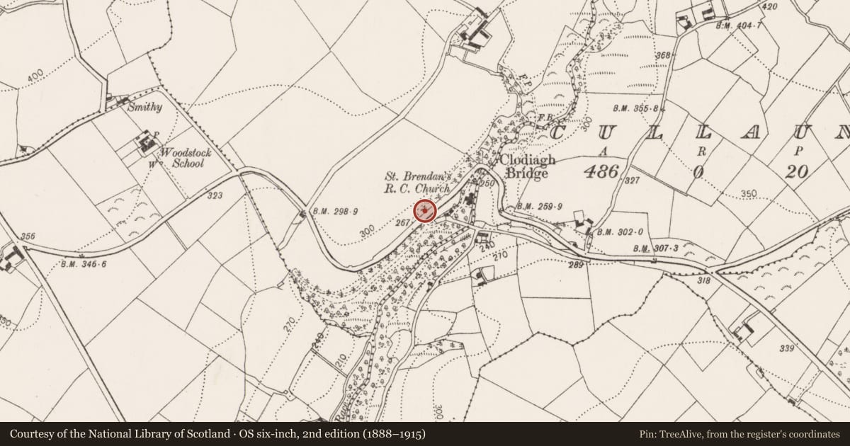 Ordnance Survey six-inch map, 2nd edition (1888–1915) covering the location of Souterrain, Ballygub New, County Kilkenny, with a pin at the register's coordinates